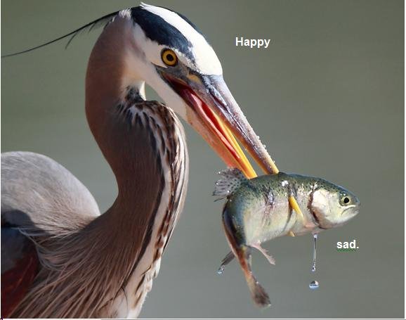 happy_sad.jpg