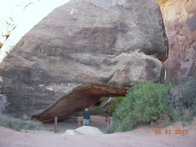 DSCN1972.jpg