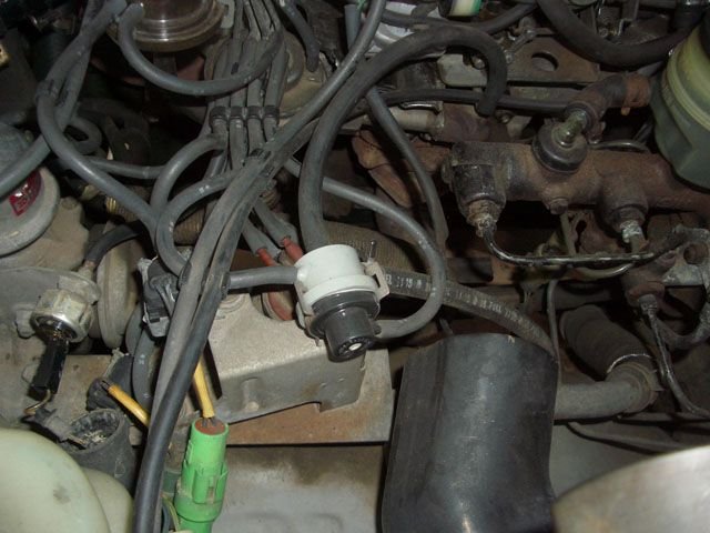 IMGP3238640.jpg