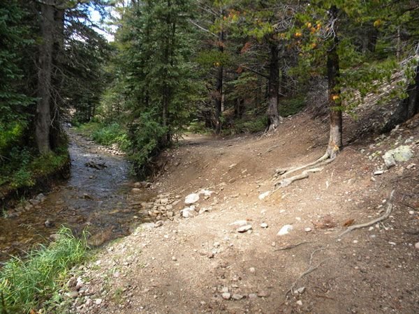 DSCN1265.jpg