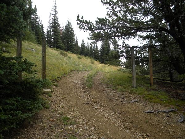DSCN1273.jpg