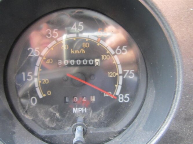 IMG_0313 (Large).JPG