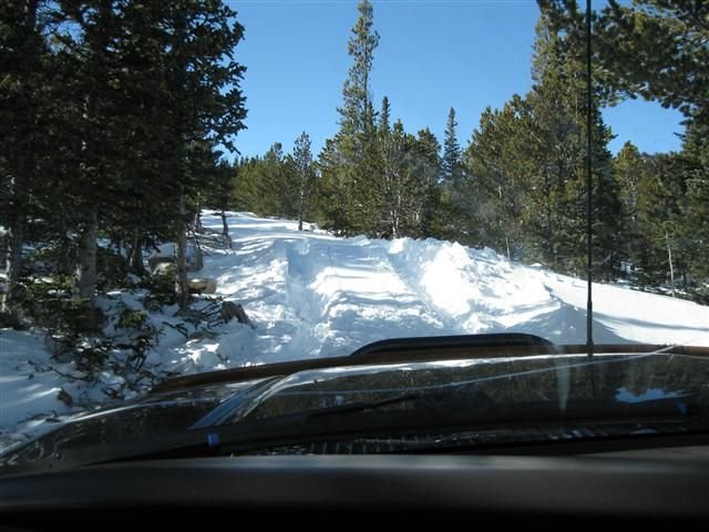 IMG_1100 (Small).JPG