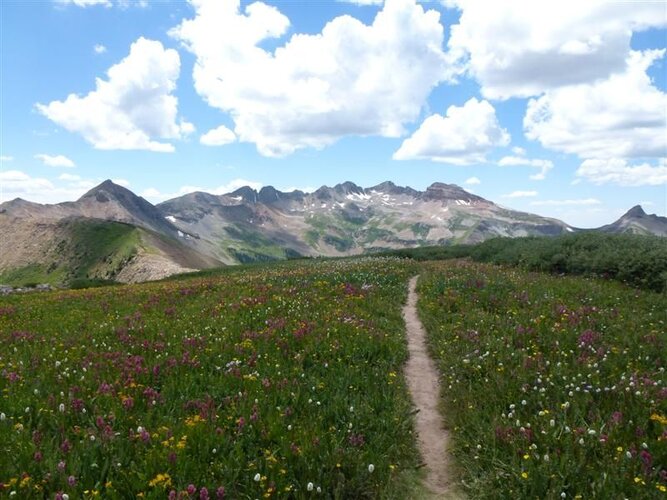 P1000255 (Medium).JPG