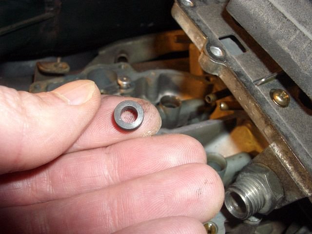 IMGP3756.jpg