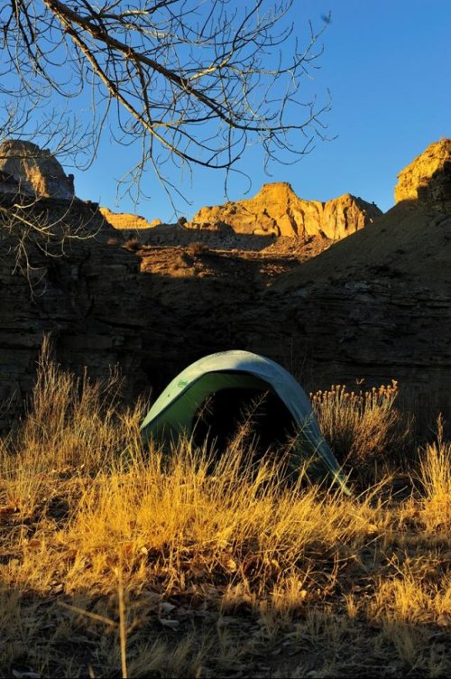 camp4dantent.jpg