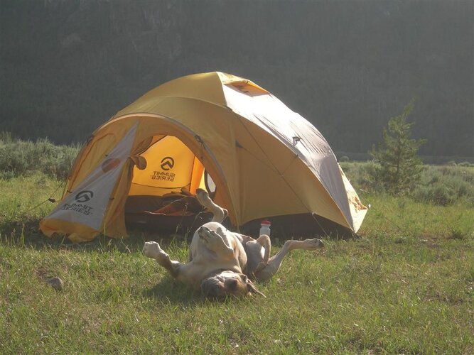 DSCN8031 (Medium).JPG