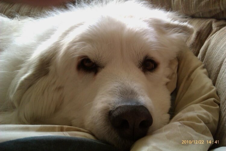 lars phone pics 001.jpg