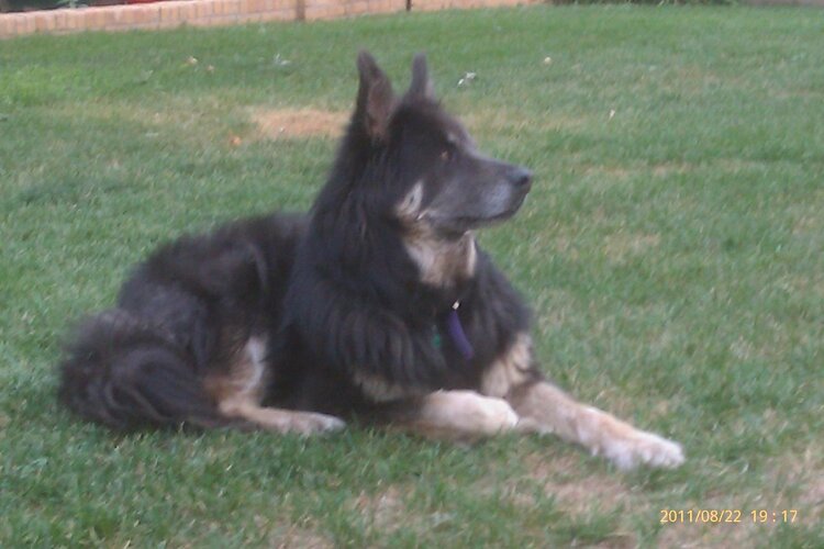 lars phone pics 051.jpg