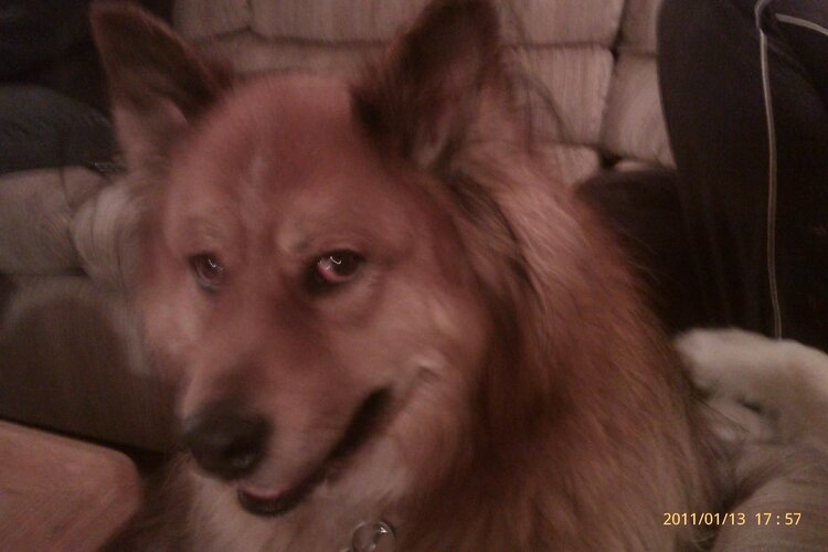 lars phone pics 010.jpg