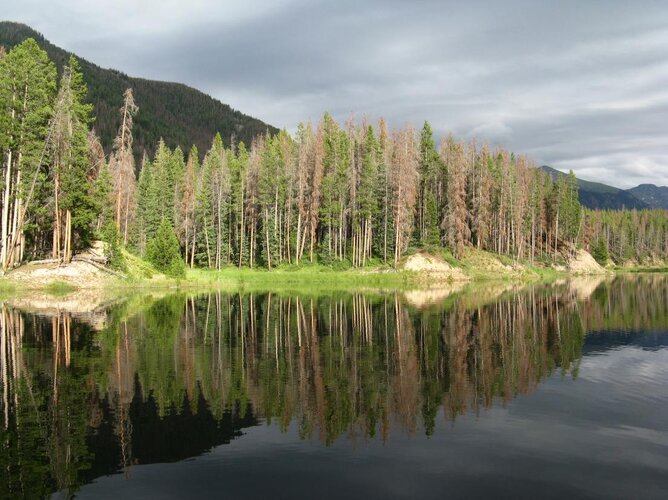 Family-082009 221.jpg