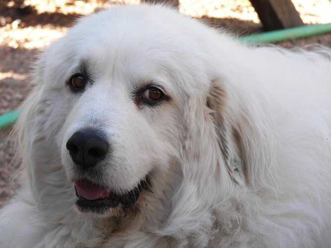 backyard pics 2010 039.jpg