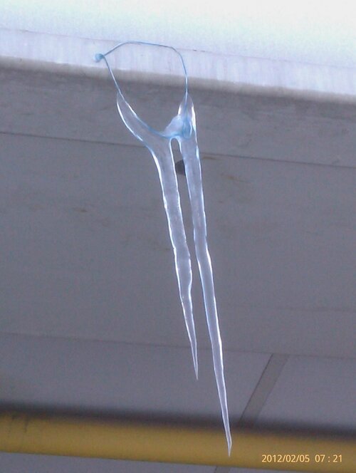 lars phone pics 086.jpg