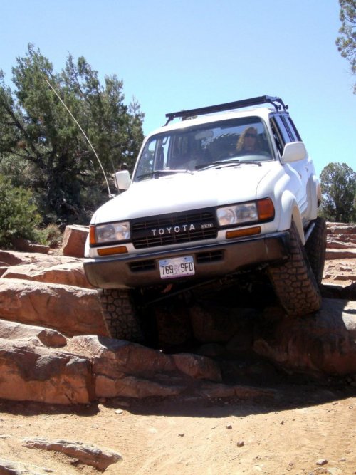 SANY0334.jpg