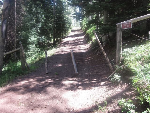 cow fence.jpg