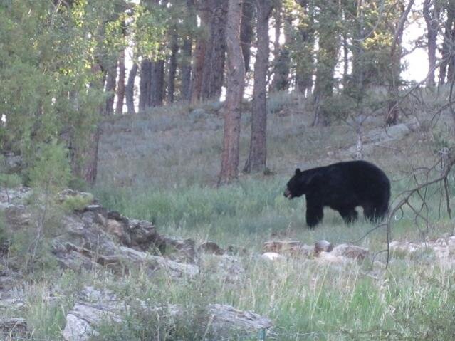 hi lifht mount 011.jpg