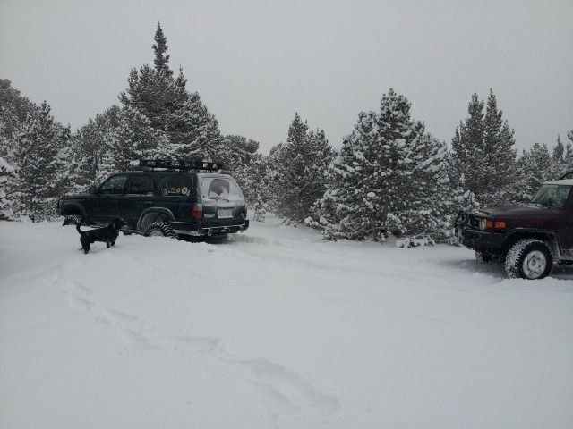 20121219_102737 (Small).jpg