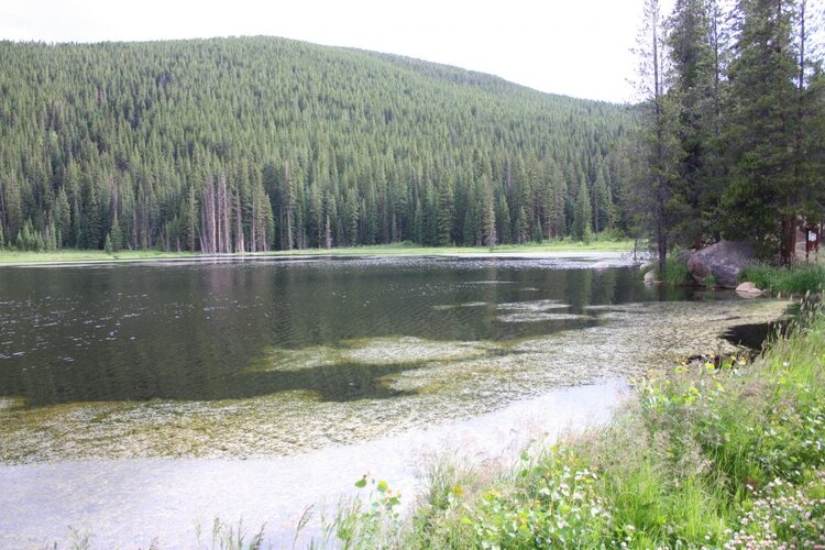 Diemer Lake (4).jpg