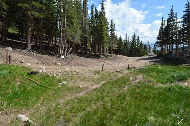 DSC_0512.jpg