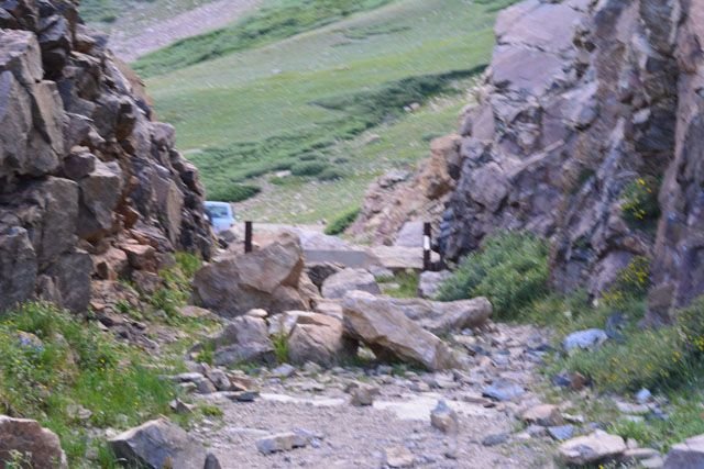 DSC_0542.jpg
