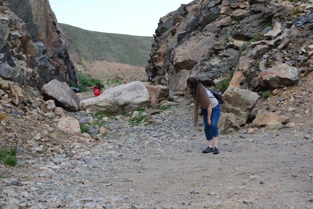 DSC_0550.jpg