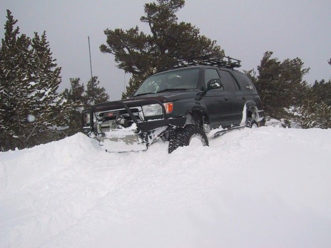 yankee hill2005-01small.JPG