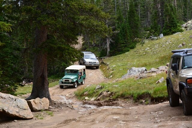 DSC_1464.jpg