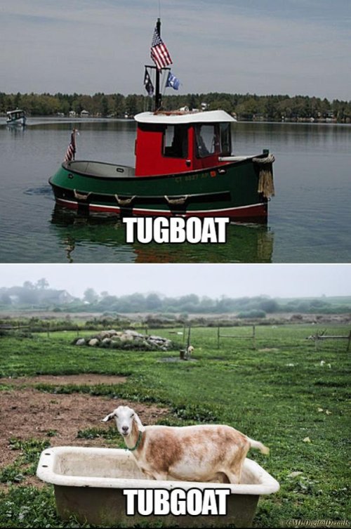 5tKXH72.jpg
