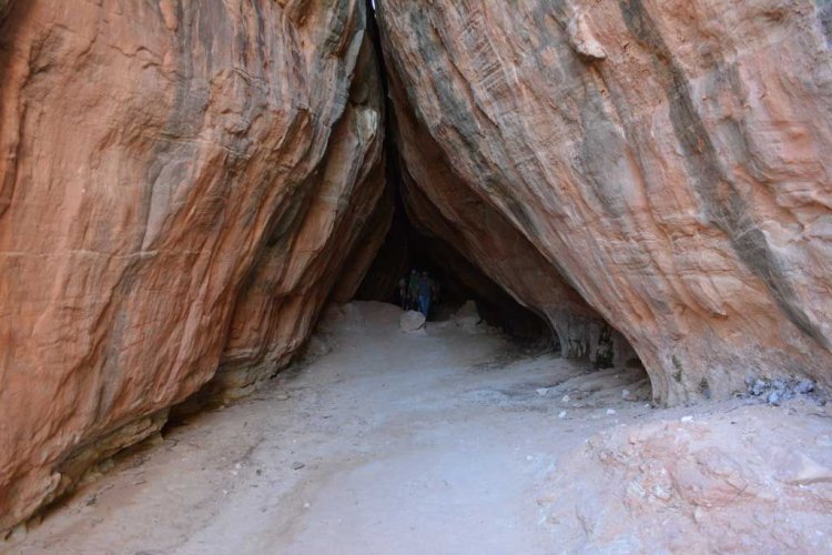 DSC_3510.jpg