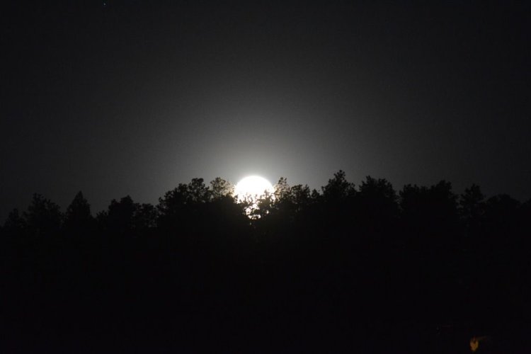 DSC_36981024.jpg