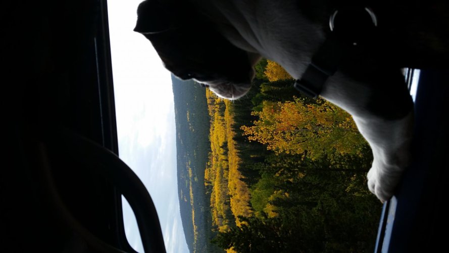 20150922_162828.jpg