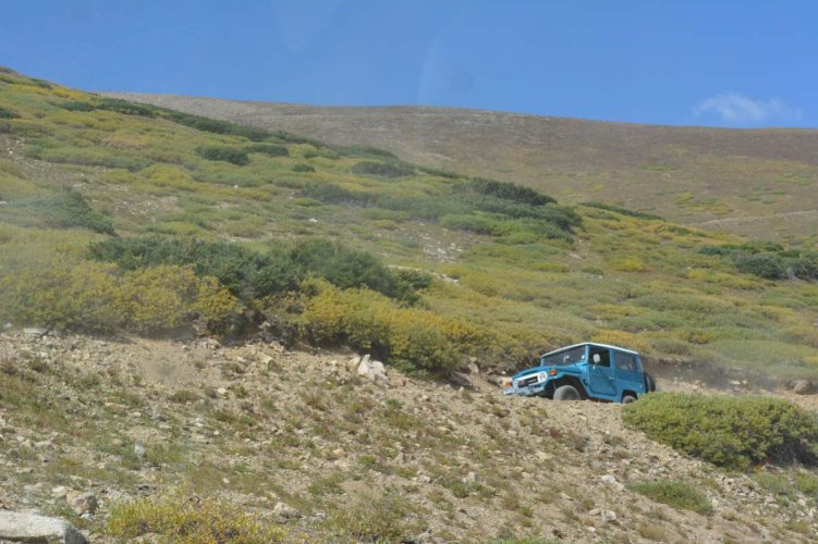 DSC_5421.jpg