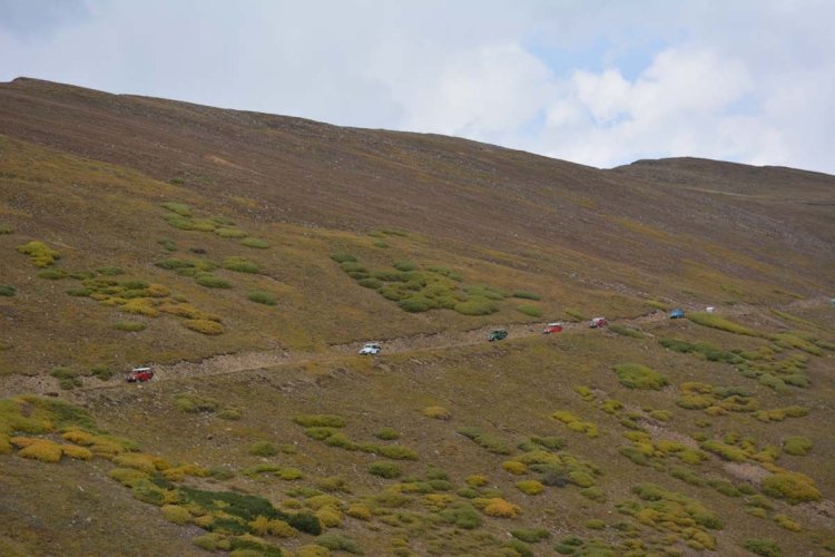 DSC_5452.jpg