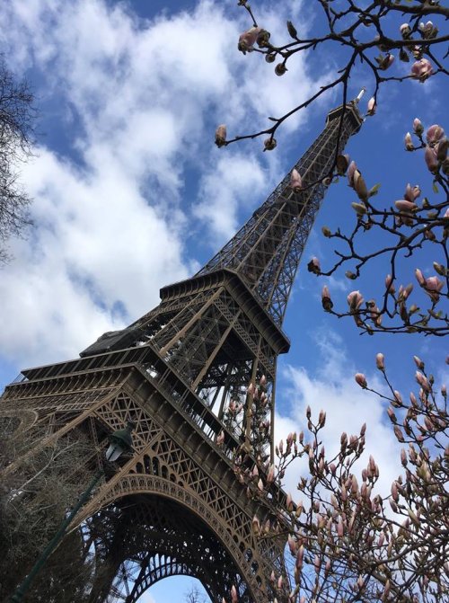 Paris18.jpg