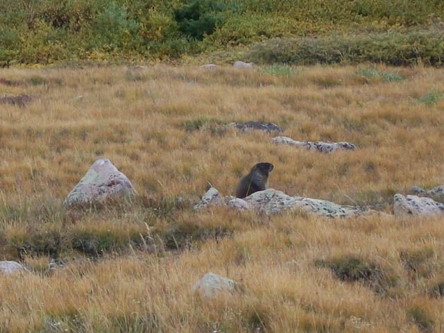 100_0811640x480.JPG