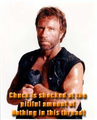 chuck-norris-002.jpg