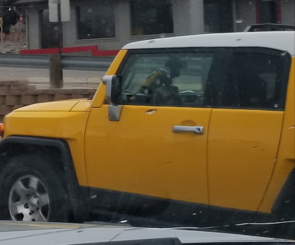 20190324_103809.jpg