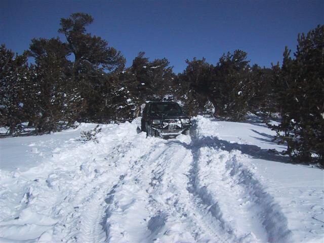 164-6441_IMG (Small).JPG