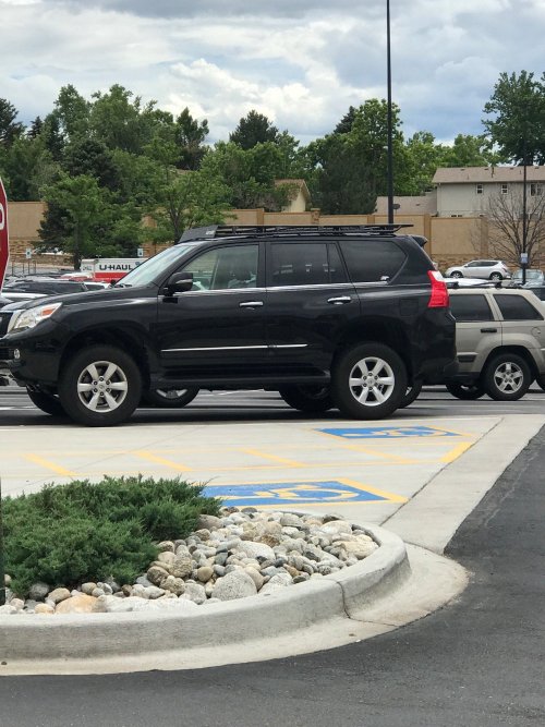 spotted.jpg