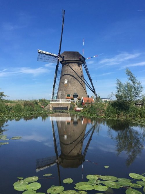 Windmills2.jpg