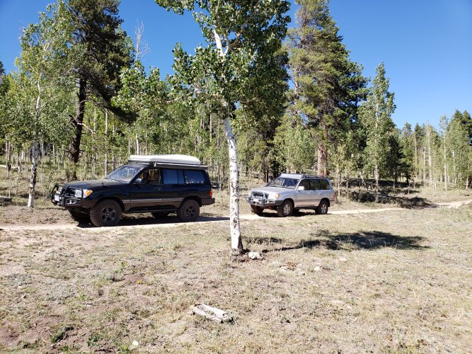 20200902_150221[1].jpg