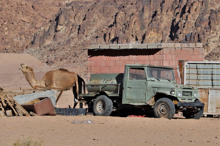 45Camel.jpg