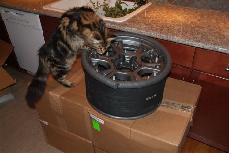 DSCF4170.jpg