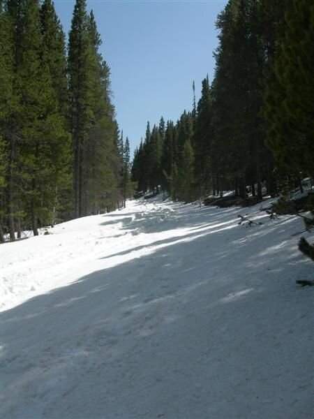 DSCN4776 (Medium).JPG