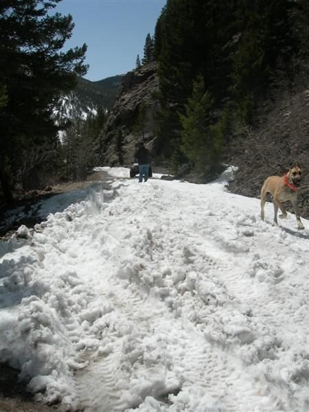 DSCN4768 (Medium).JPG