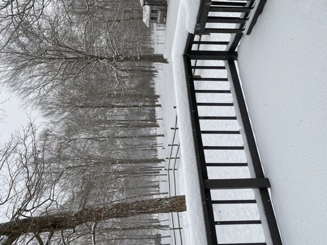 0702F130-96C8-44C3-BE31-F63F6080FA80.jpeg