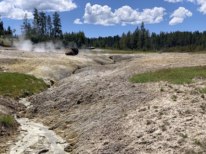 Yellowstone Rising Sun Rezarf in Yellowstone | Rising Sun 4WD Club Forum