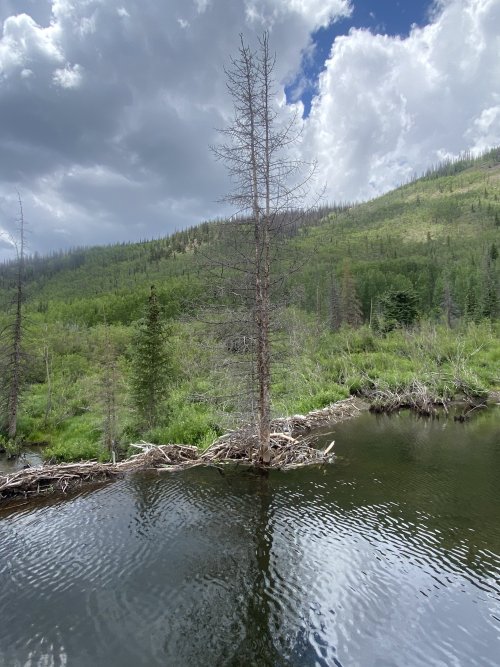 E0323796-1270-475B-87B7-05C34CC2645A.jpeg