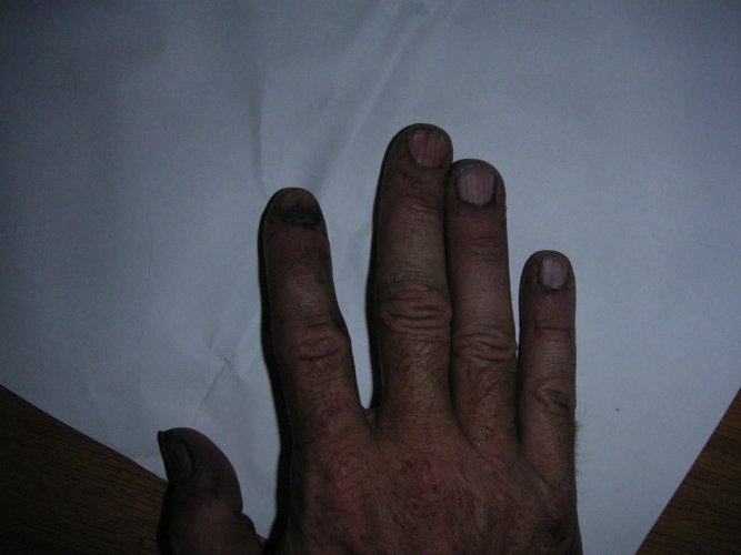 PICT0010.jpg