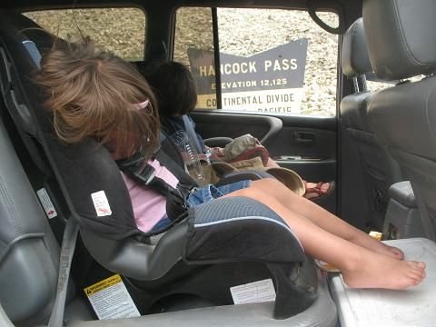 gtr sleeping.jpg